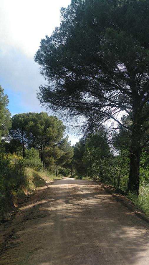 La Isabelita Villa Andújar Kültér fotó